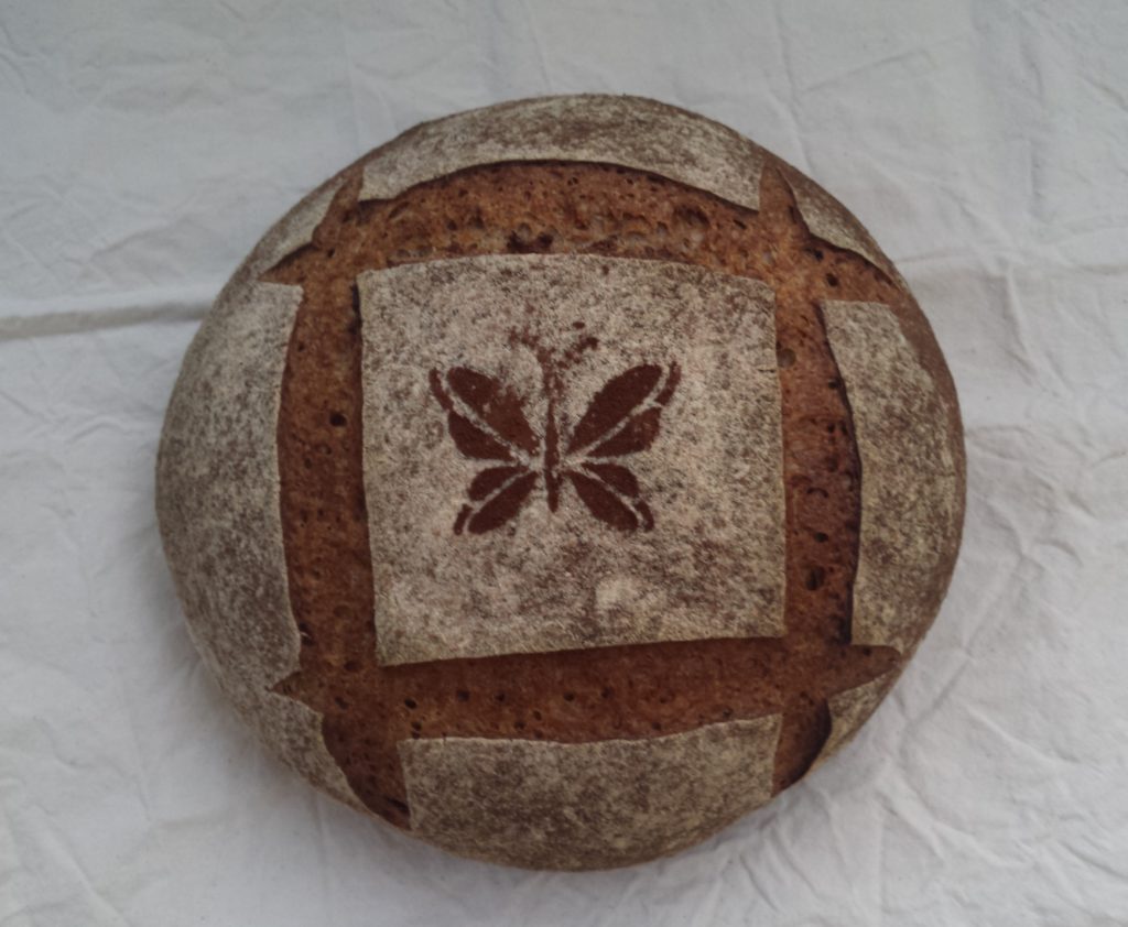 Dinkelvollkornmischbrot mit Emmer