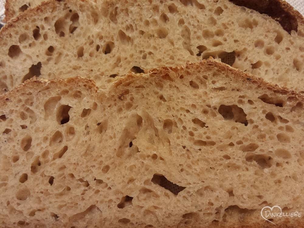 Sourdough Wildyeast Bread