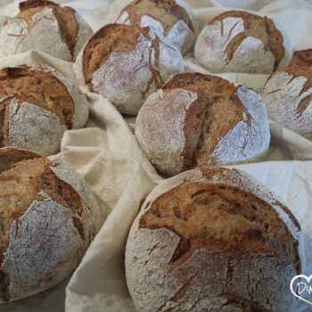 Lichtkornroggen-Dinkel-Brötchen